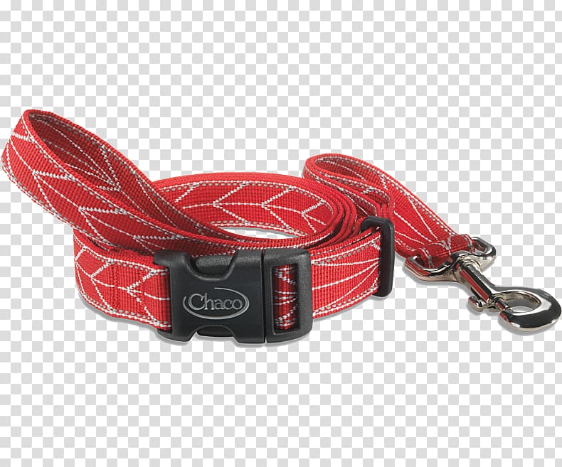 Leash Dog collar Webbing, red collar dog transparent background PNG clipart