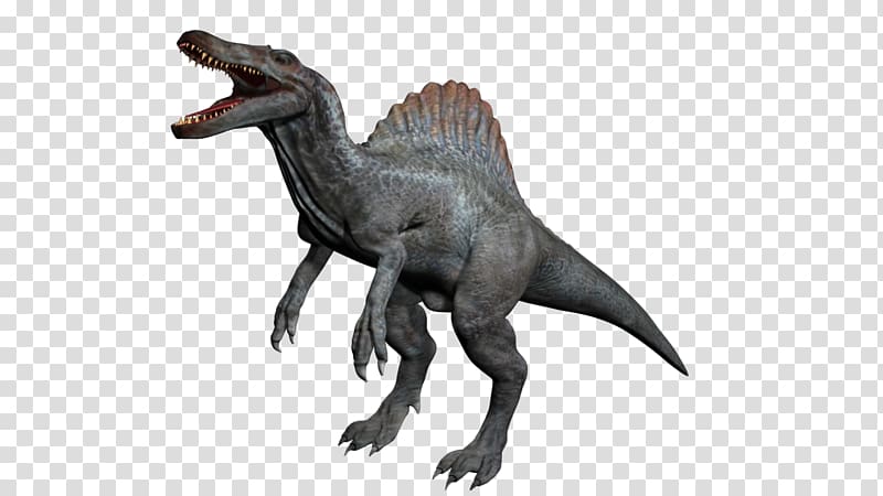 Spinosaurus Tyrannosaurus Stegosaurus Velociraptor Kentrosaurus, dinosaur transparent background PNG clipart