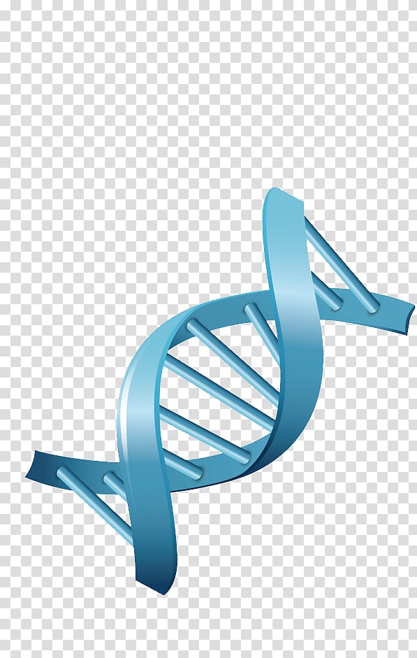 DNA Genetics Biology , transparent background PNG clipart