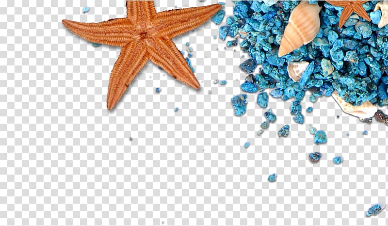starfish and teal pebbles, Sand Beach Rock Stone, starfish transparent background PNG clipart