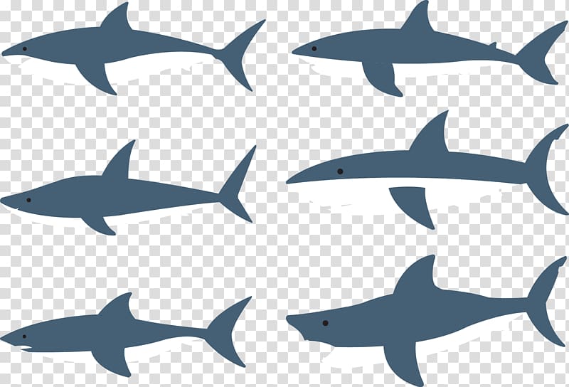 Shark Fish , variety of sharks transparent background PNG clipart