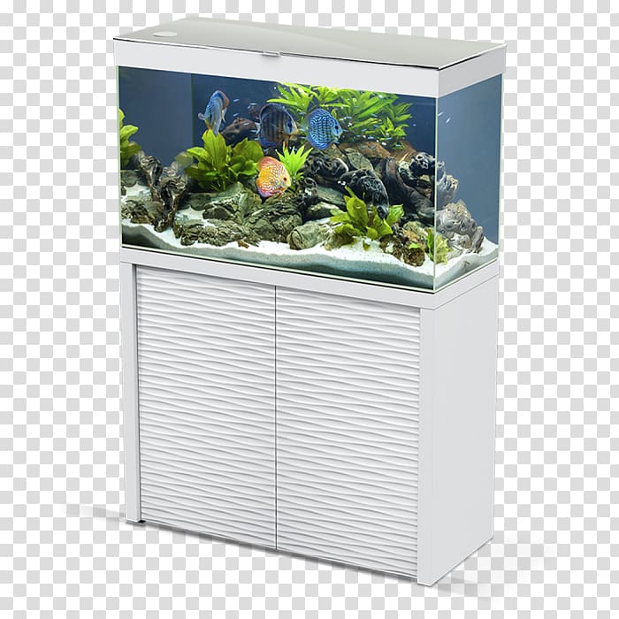 Aquarium Filters Matériel d\'aquarium Akvariesæt, legetøj, pris pr. stk Fishkeeping, tropical fish pond transparent background PNG clipart