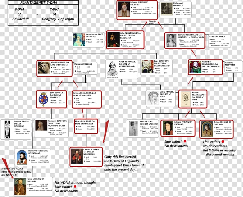 Family tree Genealogy Ancestor Child, british royal family transparent background PNG clipart