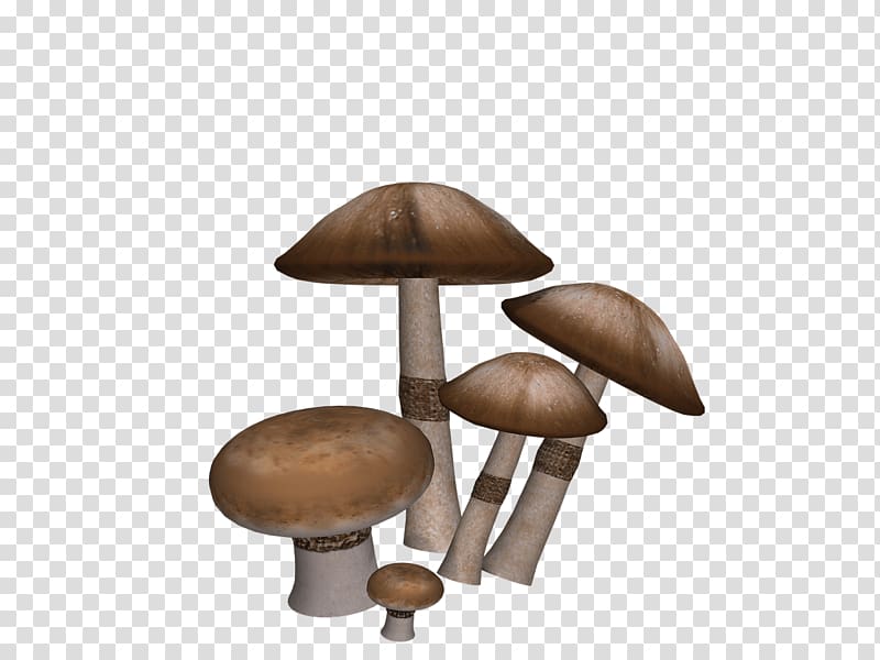 brown mushroom illustration, Mushrooms Collection transparent background PNG clipart