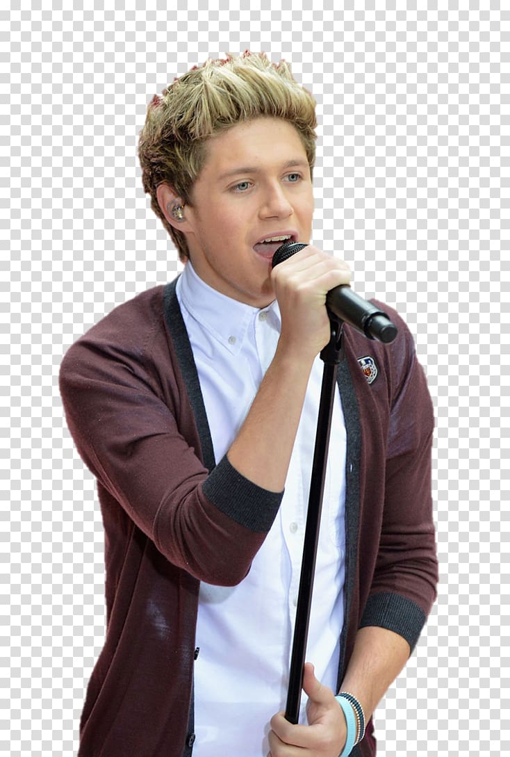 Niall Horan Mullingar One Direction Drawing, one direction transparent background PNG clipart
