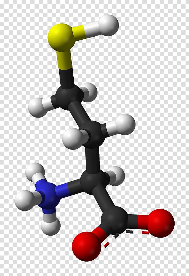 Homocysteine Molecule Chemistry Health Nutrition, health transparent background PNG clipart