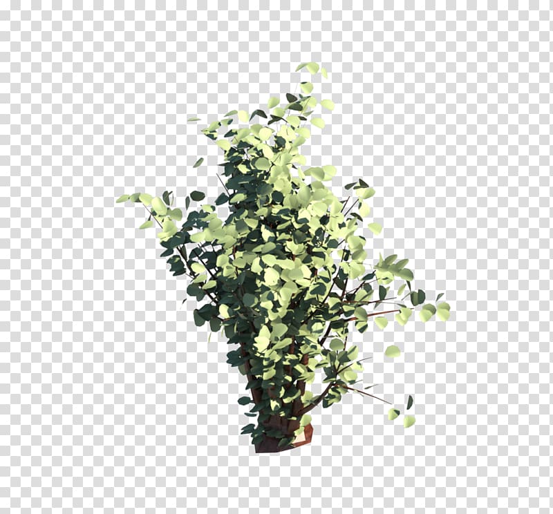 Flowerpot Herb Shrub Branching, arbusto transparent background PNG clipart