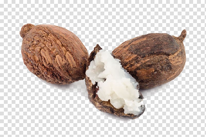 three brown nuts, Shea butter Vitellaria Nut Oil, butter transparent background PNG clipart