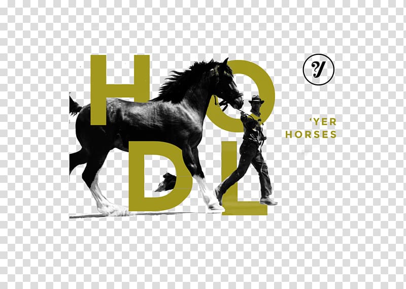 Stallion Mustang Halter Pack animal, mustang transparent background PNG clipart