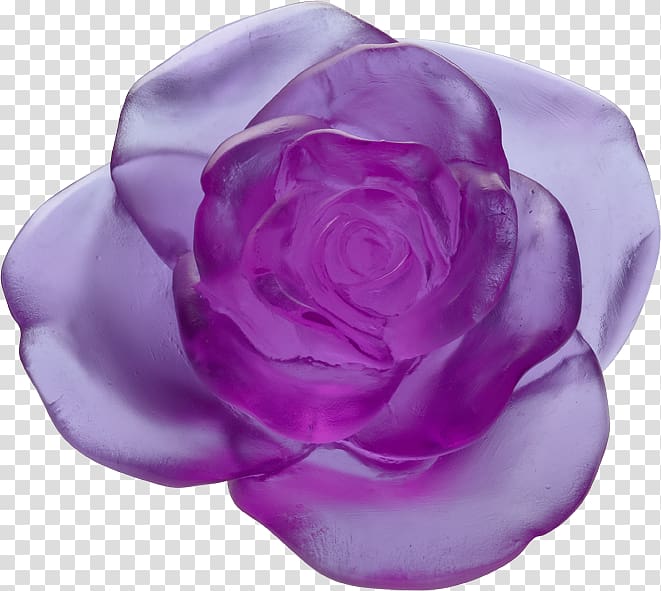 Garden roses Daum Purple Flower Floral design, purple transparent background PNG clipart