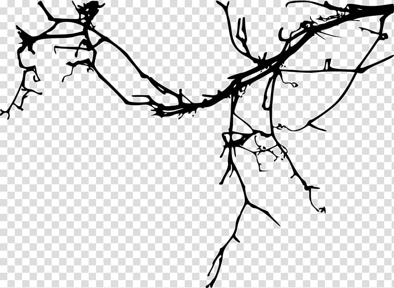 Tree Drawing, Tree, image File Formats, leaf, branch png | PNGWing