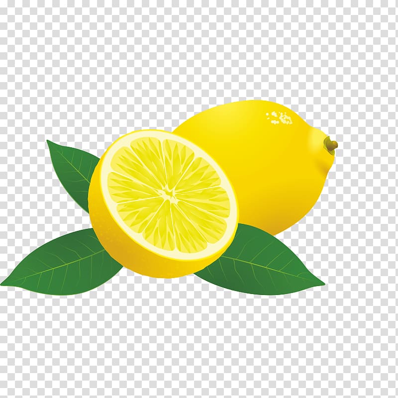 Sweet lemon Persian lime Lemon-lime drink, Lemon Cartoon transparent background PNG clipart