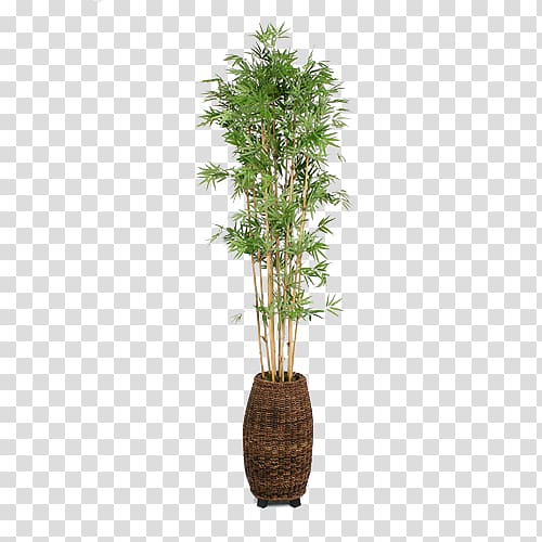 potted white and green leaf plant illustration, Flowerpot Bamboo weaving Houseplant, Household pots potted bamboo weaving transparent background PNG clipart