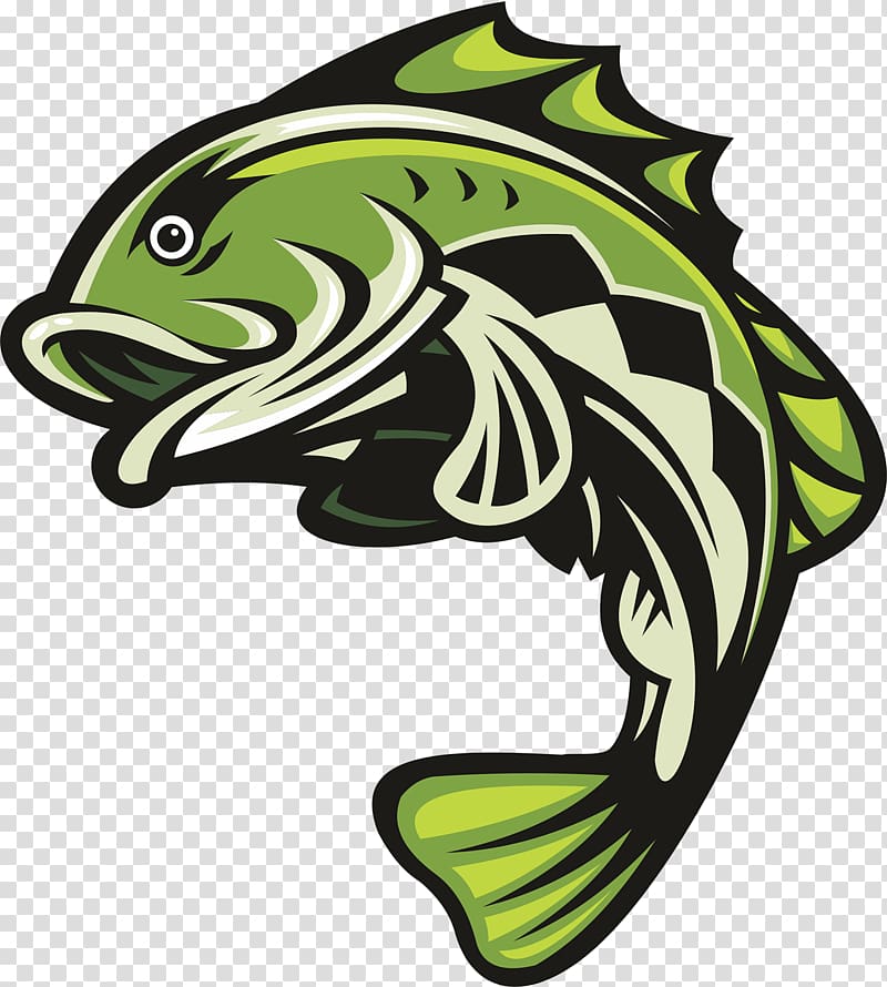 Largemouth bass Bass fishing, Fishing transparent background PNG clipart