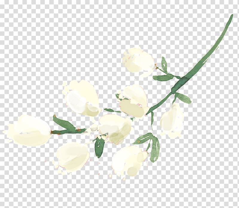 Petal Twig Flowering plant Plant stem, Boabab transparent background PNG clipart