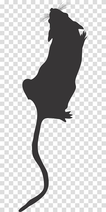 Cat Mouse Rat Rodent , Cat transparent background PNG clipart