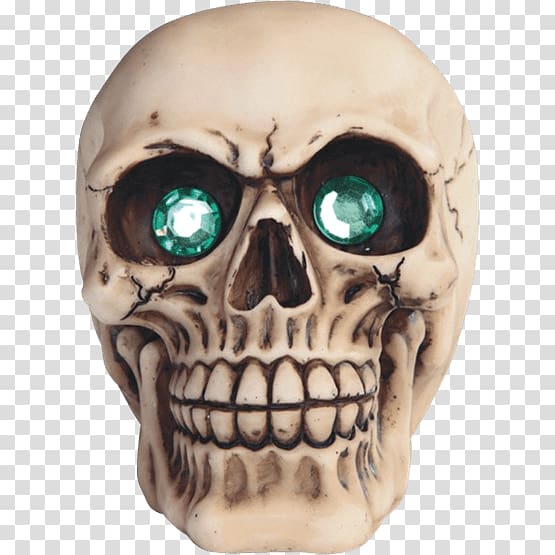 Human skull Facial skeleton Skull and crossbones Jaw, bearded skull transparent background PNG clipart