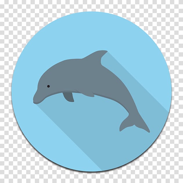 Common bottlenose dolphin Tucuxi Wholphin Wild boar Porpoise, yangyang transparent background PNG clipart
