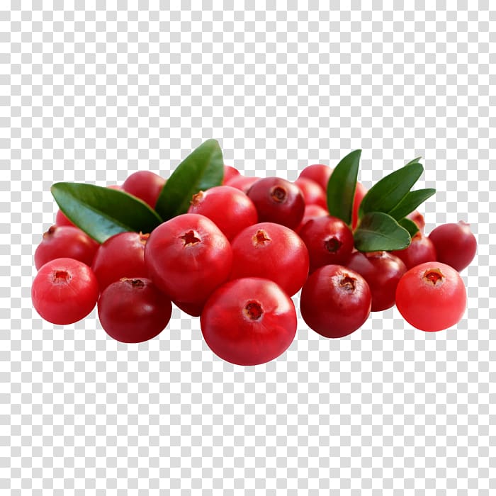 Lingonberry Cranberry Bilberry Rijk Zwaan Barbados Cherry, corks transparent background PNG clipart