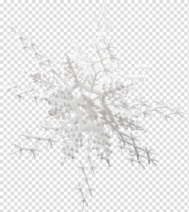 Snowflake Lovat River , Snowflake transparent background PNG clipart