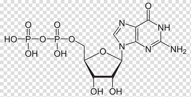 Cyclic adenosine monophosphate Adenosine triphosphate Adenosine diphosphate Second messenger system, molecular structure transparent background PNG clipart