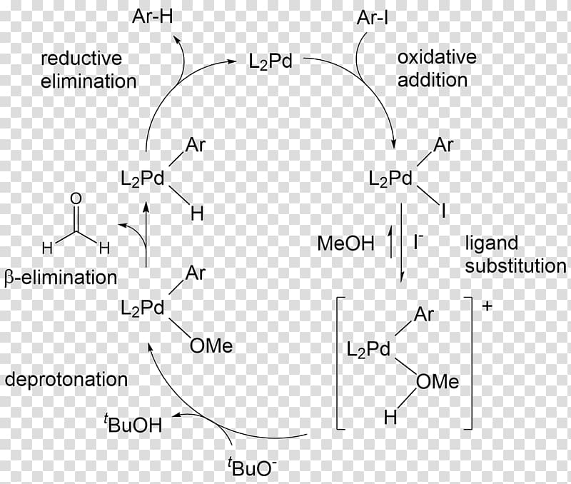 Aryl halide Chemical bond Dehalogenation, others transparent background PNG clipart