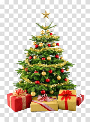 Santa Claus Reindeer Christmas tree , christmas tree transparent ...
