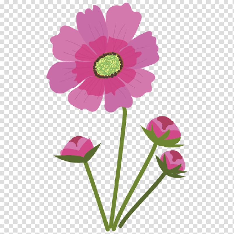 Chocolate cosmos Flower Pink Anthesis, flower transparent background PNG clipart