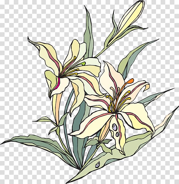 Easter lily Flowering plant , Valley transparent background PNG clipart