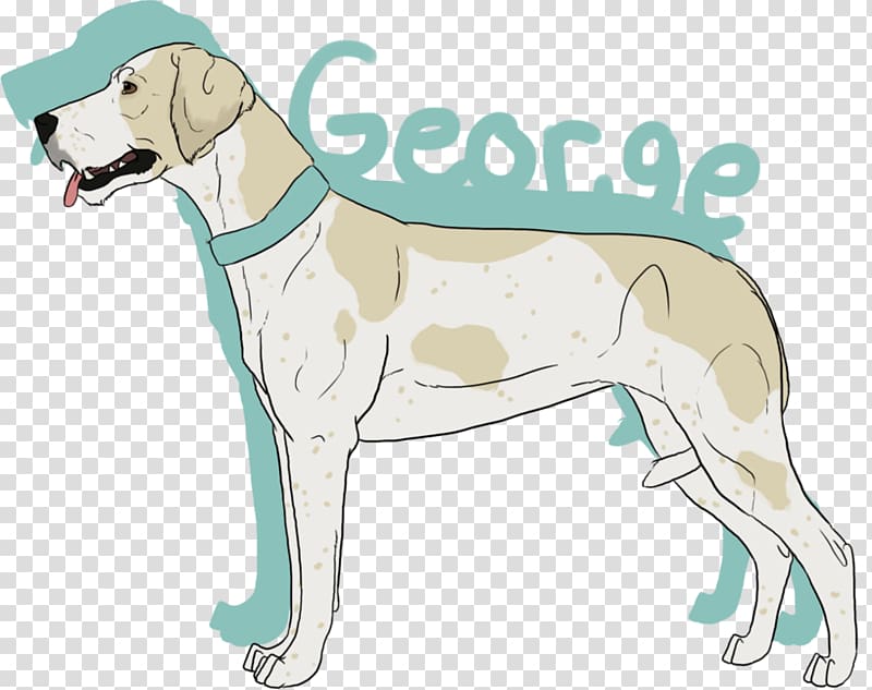 English Foxhound American Foxhound Dog breed Harrier Treeing Walker Coonhound, overbearing transparent background PNG clipart