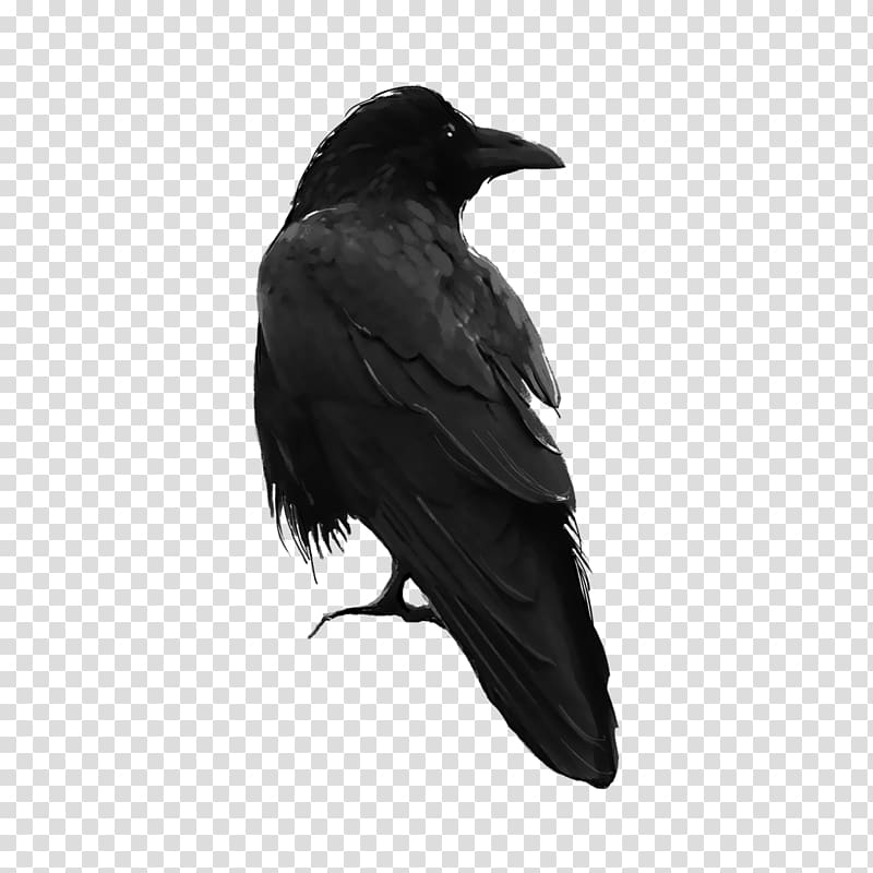 PicsArt Studio Bird Editing, Bird transparent background PNG clipart