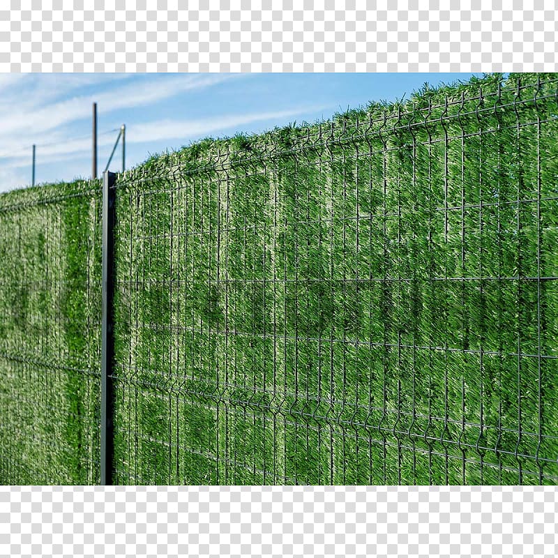 Hedge Chicken wire Fence Trellis Garden, Fence transparent background PNG clipart