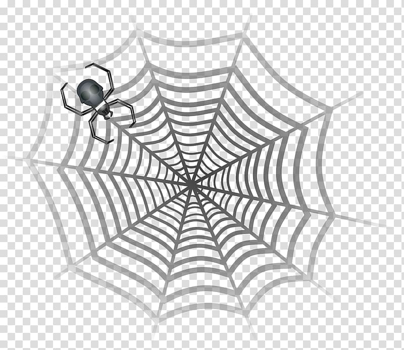 Spider web Spider-Man Drawing, spider transparent background PNG clipart