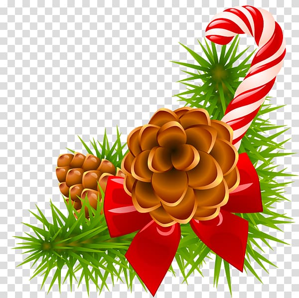 Christmas Pine Conifer cone Christmas Day, christmas tree transparent background PNG clipart