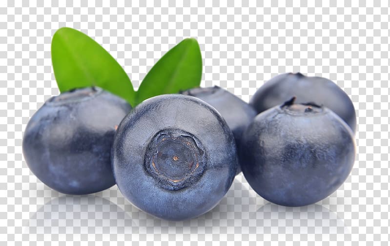 Blueberries transparent background PNG clipart