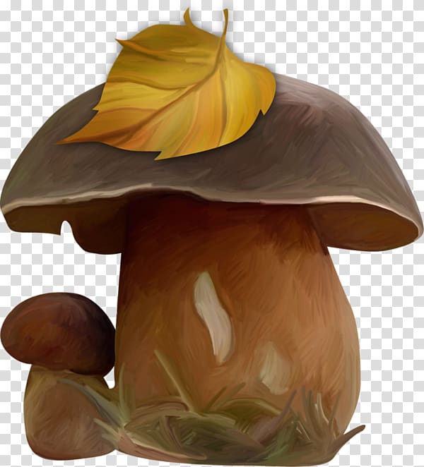 Edible mushroom Agaricomycetes, Hand-painted mushrooms transparent background PNG clipart