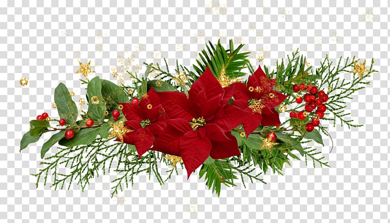 Christmas Flower Desktop Poinsettia, noel transparent background PNG clipart