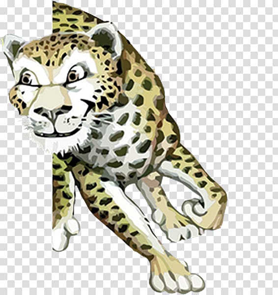 Keith\'s Superstore Cheetah Hattiesburg Baxterville Leopard, cheetah transparent background PNG clipart