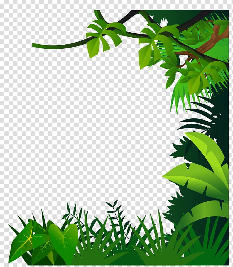 green leafed plants illustration, Drawing Jungle , border material transparent background PNG clipart