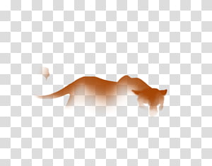 Cat Dog Desktop , Cat transparent background PNG clipart thumbnail