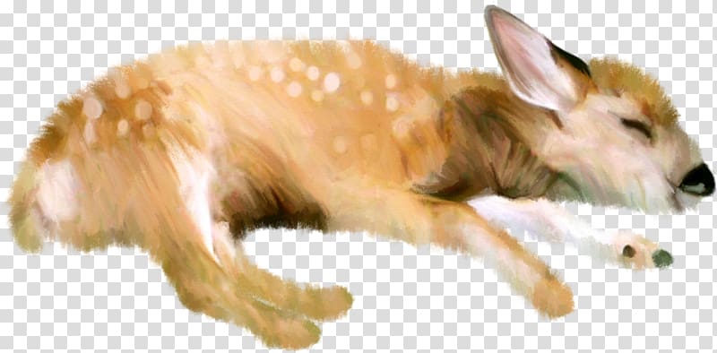Dog Deer , Deer transparent background PNG clipart