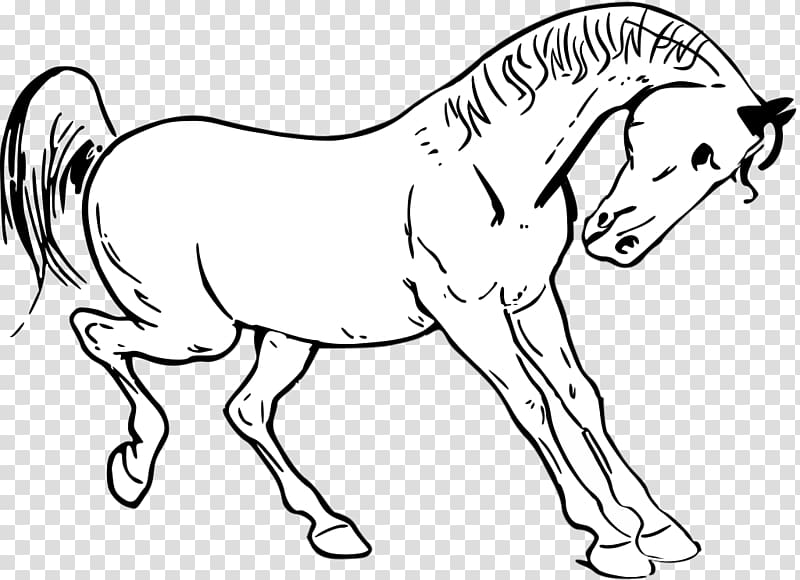 Tennessee Walking Horse Stallion Equestrian , Of Horse transparent background PNG clipart