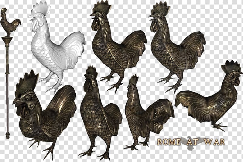 Mount & Blade: Warband Samnites Gauls Rooster, rooster transparent background PNG clipart