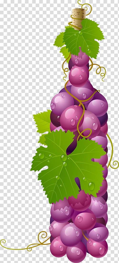 Wine Alicante Bouschet Grape graphics , wine transparent background PNG clipart