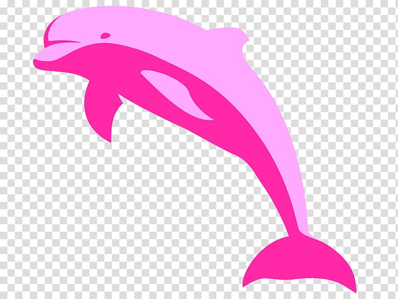 Amazon river dolphin Free , rosa transparent background PNG clipart