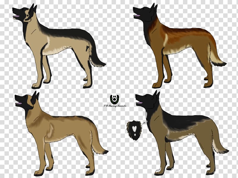 Dog breed Malinois dog Belgian Shepherd Dutch Shepherd German Shepherd, others transparent background PNG clipart