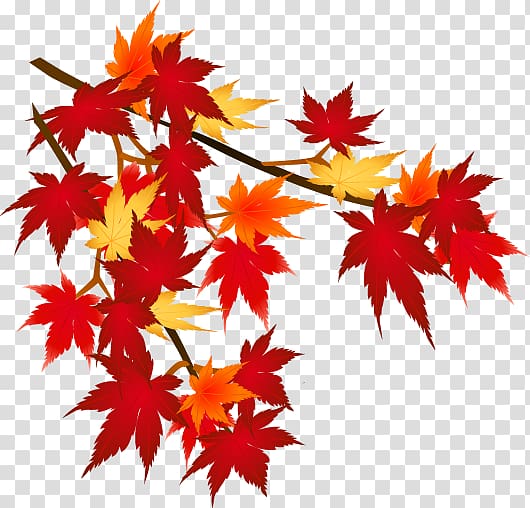Autumn leaf color Mount Akagi Season, autumn transparent background PNG clipart