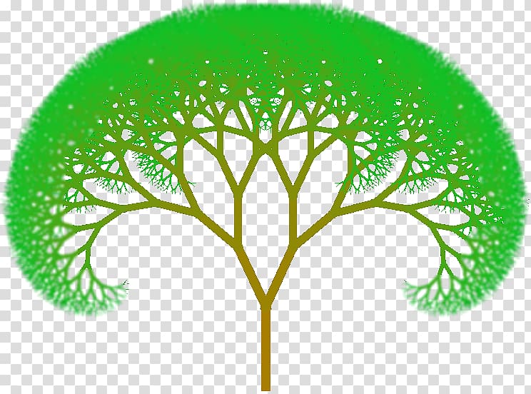 Fractal tree index Fractal tree index Drawing , animated mangrove forest transparent background PNG clipart