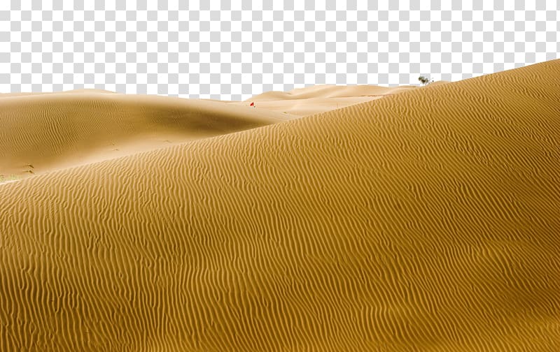 Landscape Yellow Material Close-up, desert transparent background PNG clipart
