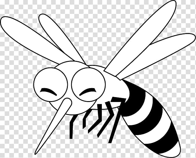 Mosquito Insect Fly Drawing, mosquito transparent background PNG clipart